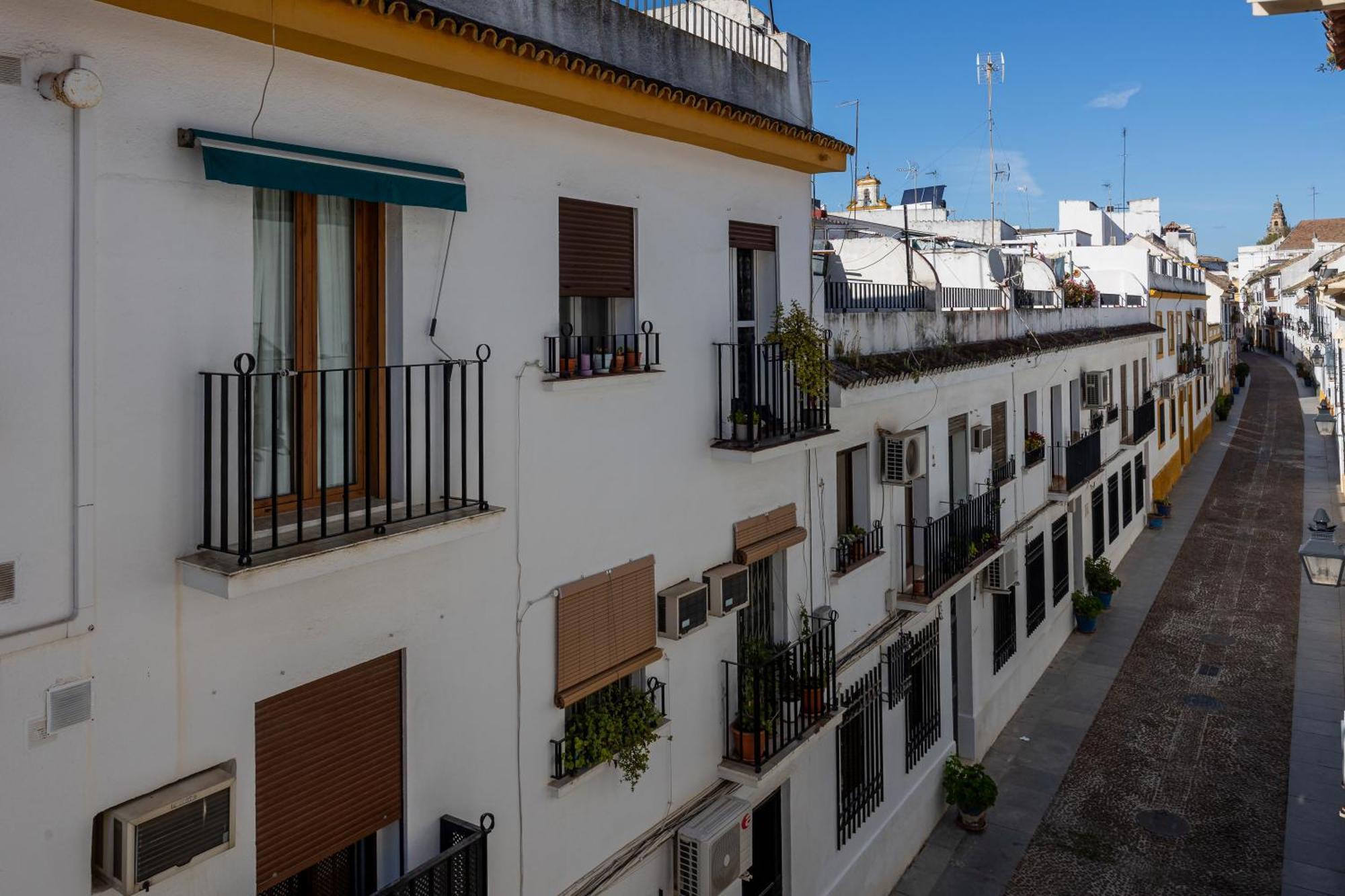 Apartment Flores De San Basilio